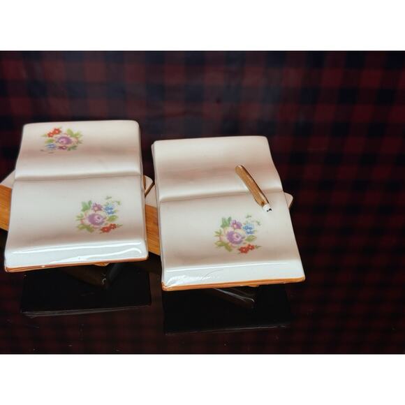 Pair Antique Porcelain Books Bernasconi AF South Post-Bidg. L Naples Italy - Picture 5 of 8